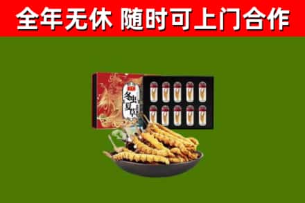 木垒回收冬虫夏草价格